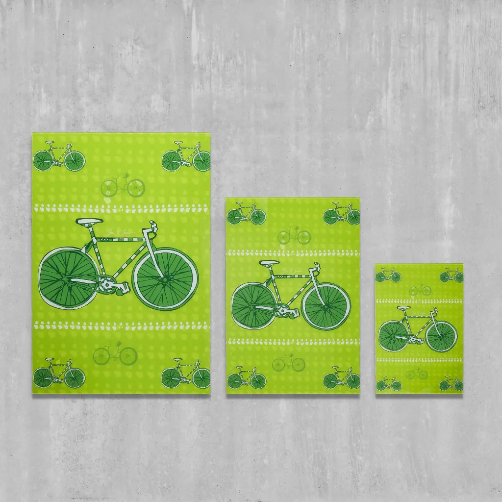 C 005d Plexi Bike 3x-min.webp