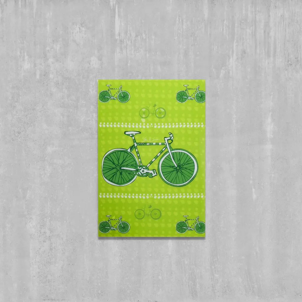 C 005c Plexi Bike XL.webp