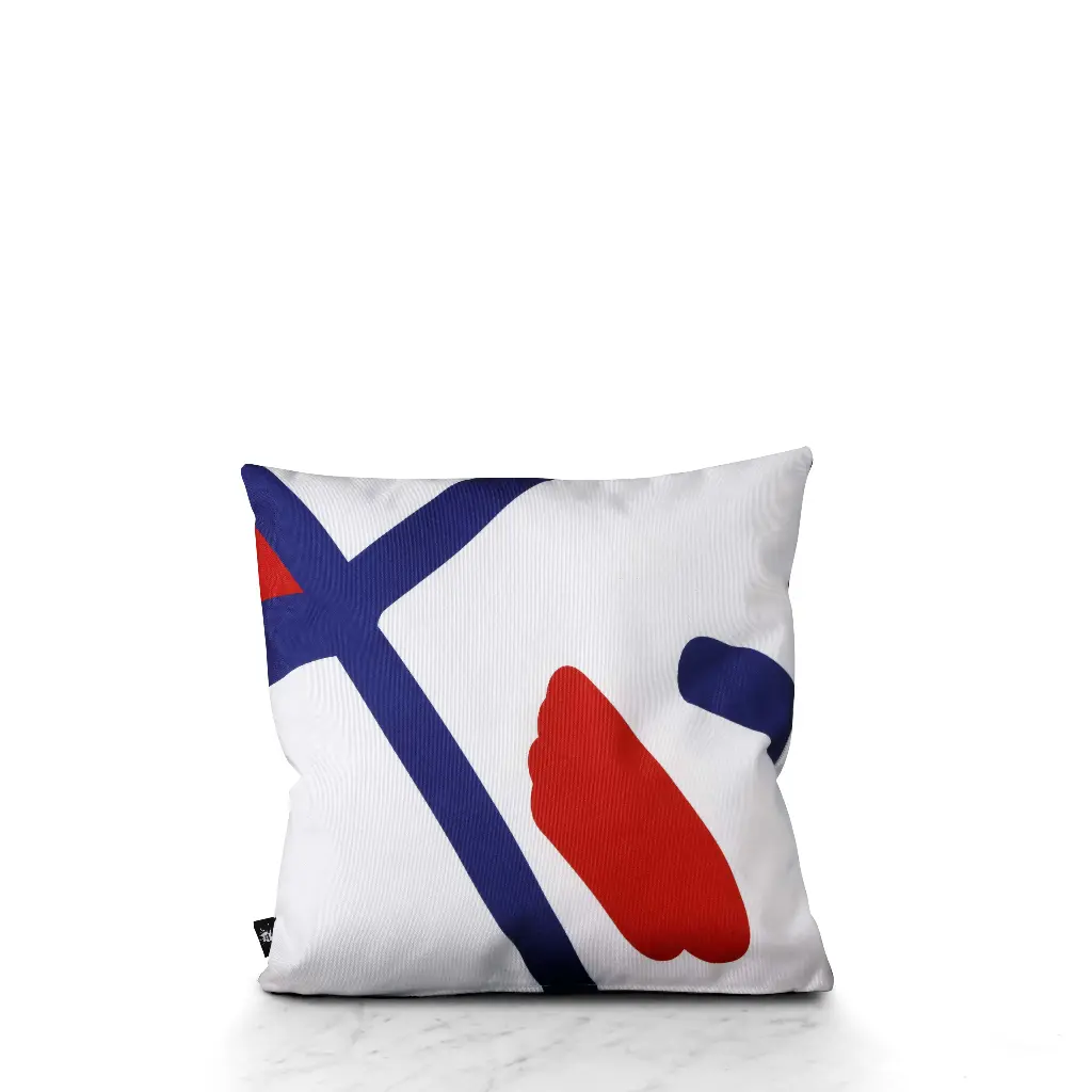 Housse de coussin Pincel